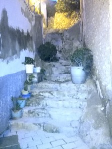 Escales fetes mistos i ni una jardinera